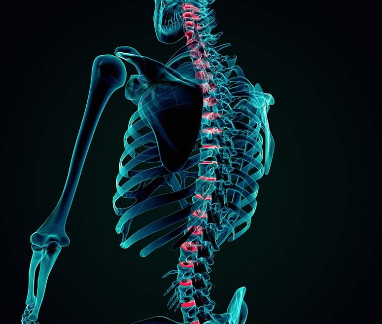 Spine graphic