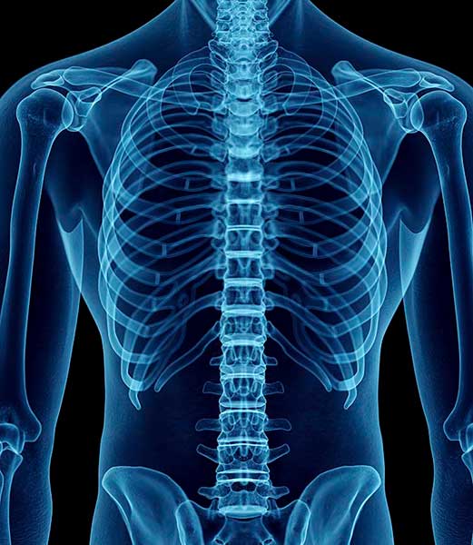 Understanding your spinal cord injury